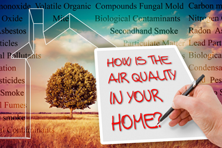 indoor air pollutant